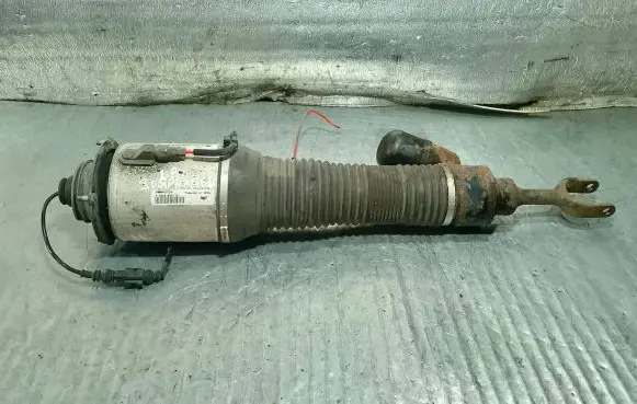 Volkswagen Phaeton Front shock absorber/damper 3D0616039T