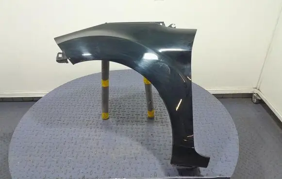 Ford Fiesta Fender 