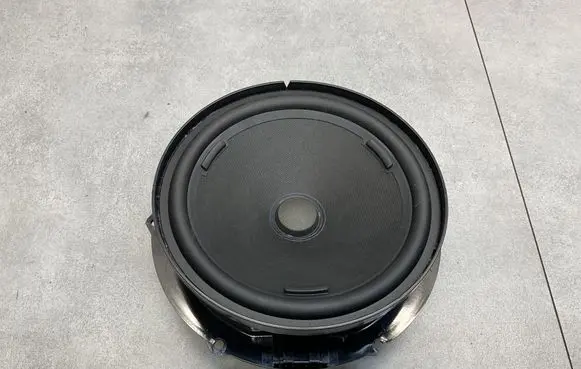 Volkswagen PASSAT B8 Front door speaker 3G0035454