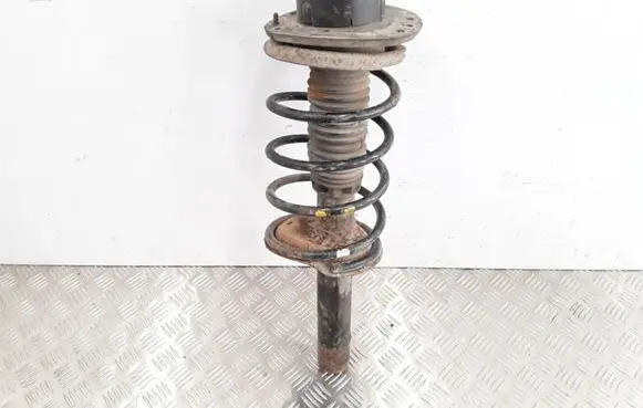 Peugeot 206 Front shock absorber with coil spring