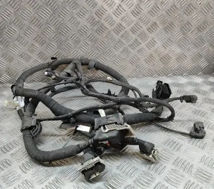 Ford Mustang Mach-E Other wiring loom LJ8T14B599EAC
