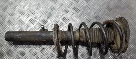 Peugeot 206 Front shock absorber/damper