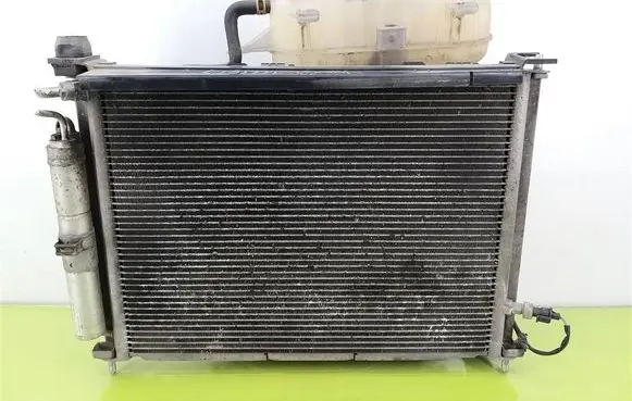 Renault Clio III Radiator set 8200688390