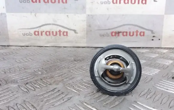 Mitsubishi Pajero Thermostat/thermostat housing