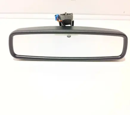 Ford Focus Rear view mirror (interior) E11026532