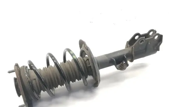 Toyota C-HR I Front shock absorber/damper 48520F4020