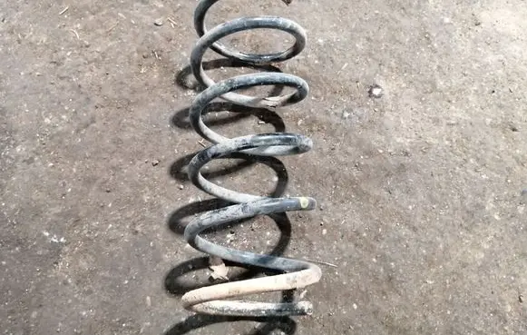 Rear coil spring
