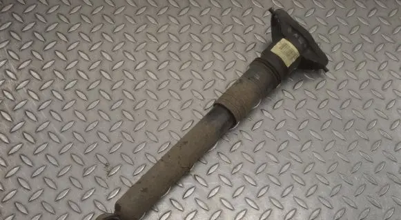 Citroen C4 II Rear shock absorber/damper 9841403280