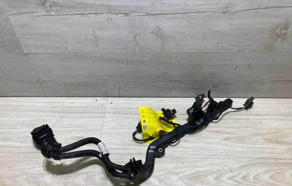 BMW X2 F39 Fuel injector wires 8678974