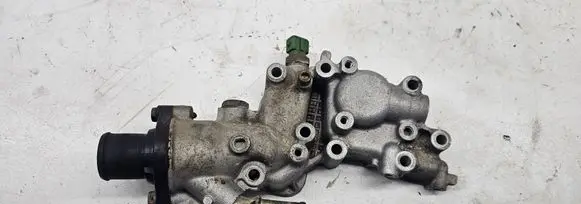 Thermostat/thermostat housing