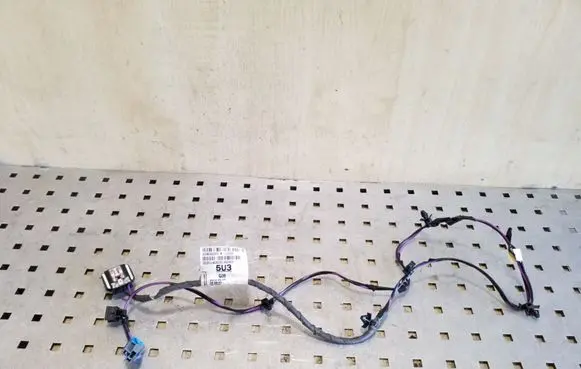Opel Zafira C Other wiring loom 20806269