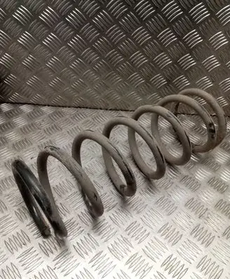 Nissan Pathfinder R51 Rear coil spring RA6136