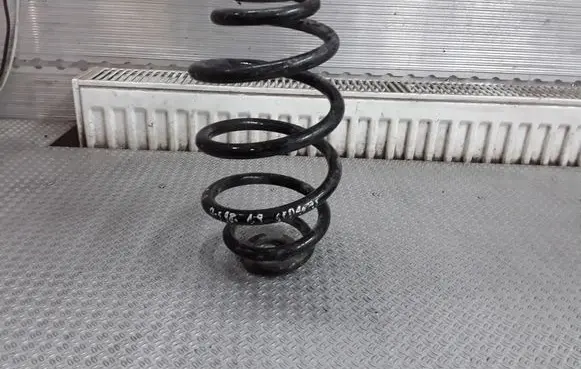 Rear coil spring