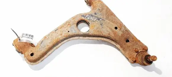 Front lower control arm/wishbone