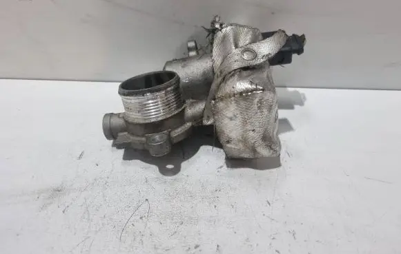 EGR valve
