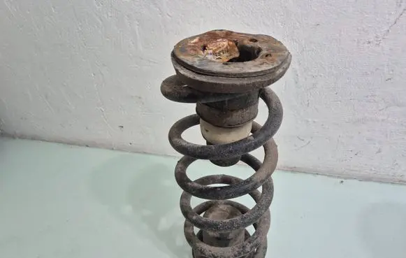 Dodge Grand Caravan Rear coil spring 