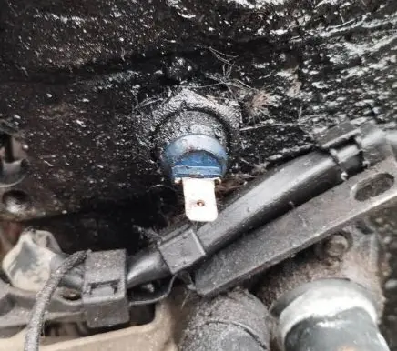 Seat Alhambra (Mk1) Coolant temperature sensor 