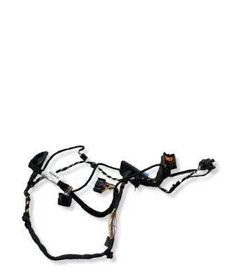 Volkswagen PASSAT CC Rear door wiring loom 3C8971693CM 001169A96 TAB016615L