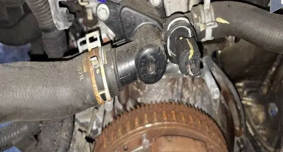 Dacia Logan II Engine coolant pipe/hose 