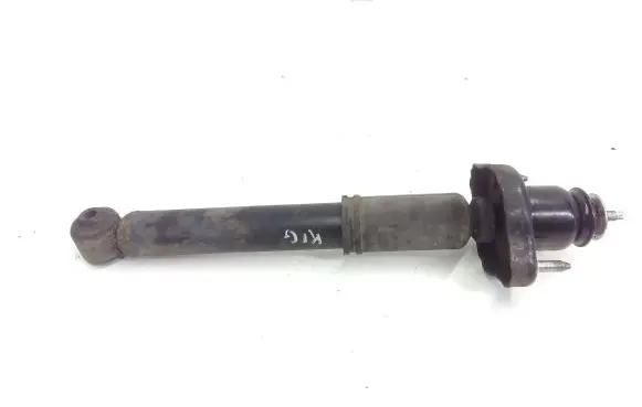 Mitsubishi Outlander Rear shock absorber/damper 4162A050