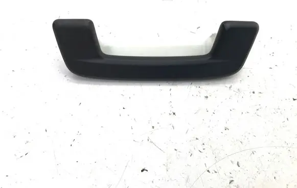 Skoda Enyaq iV Front interior roof grab handle 10A857607