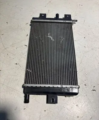 Dacia Spring Coolant radiator 1301041BBG PA66GF30