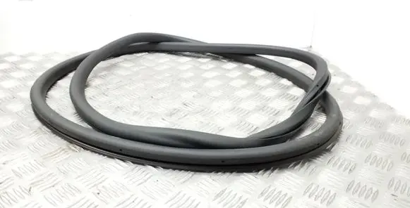 Volkswagen Tiguan Front door rubber seal 5N0867911