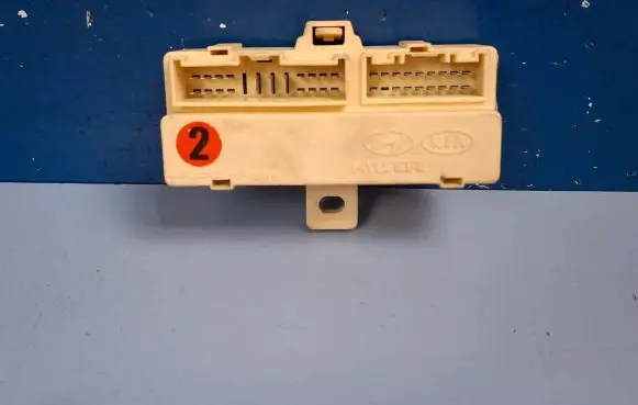 KIA Carens II Fuse module 919402G020 06254D