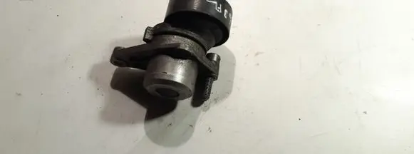 Peugeot 307 CC Alternator belt tensioner 