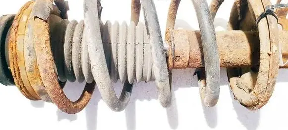 Front coil spring