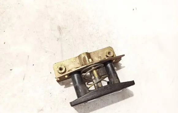 Peugeot 407 Rear door lock loop/hook striker 