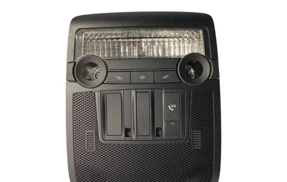 BMW X5 E70 Front seat light 9166629 916662901 6131916662901