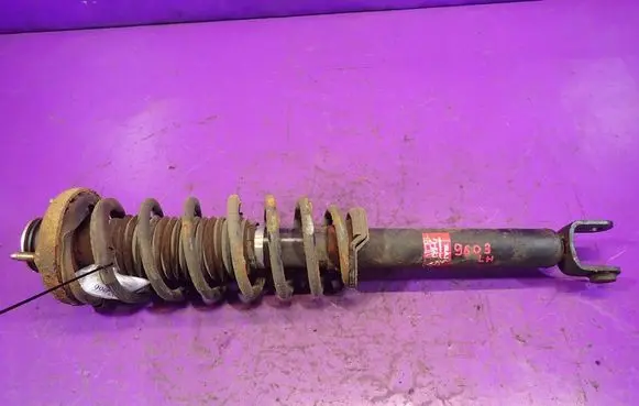 Chevrolet Evanda Rear shock absorber with coil spring 