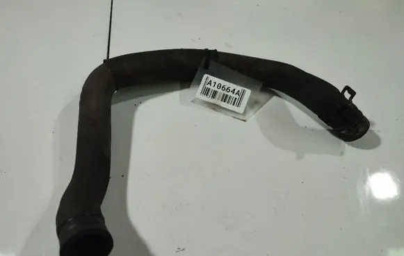 Renault Laguna III Engine coolant pipe/hose