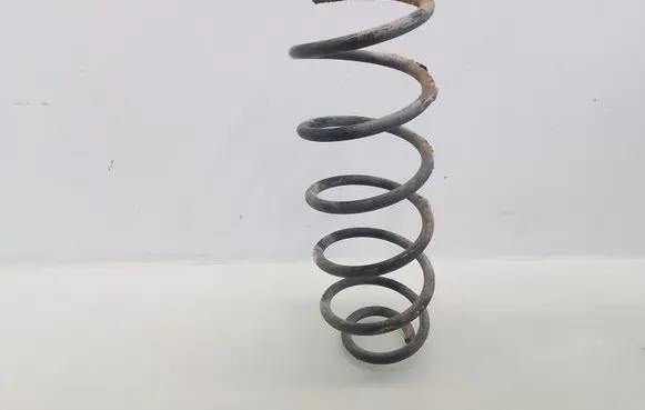Peugeot 1007 Rear coil spring