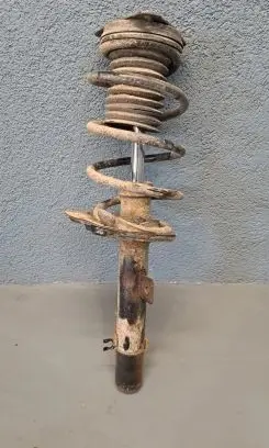 Nissan Qashqai Front shock absorber with coil spring 11962112