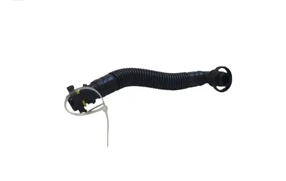 Ford Focus Breather/breather pipe/hose 