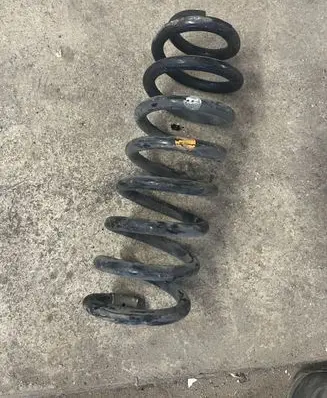 Rear coil spring