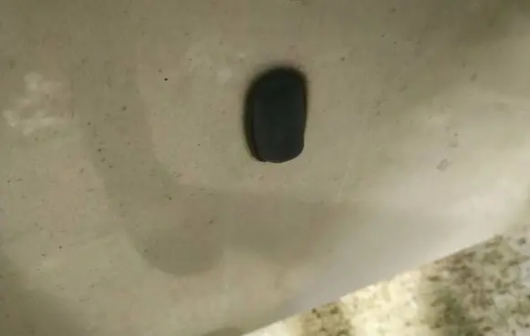 Ford Focus Windshield washer spray nozzle 