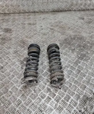 BMW M4 F82 F83 Rear coil spring 