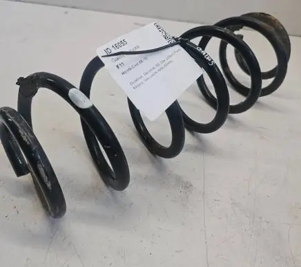 Rear coil spring
