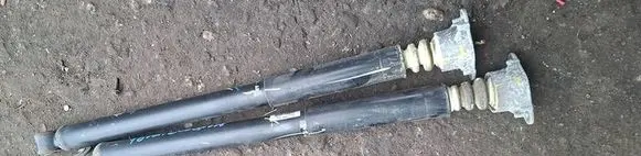 Ford Ecosport Rear shock absorber with coil spring FN1C-18080-AB 0399066 ME4671401