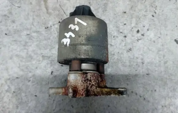Chevrolet Captiva EGR valve