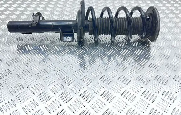 Jaguar E-Pace Front shock absorber with coil spring J9C318K001AF