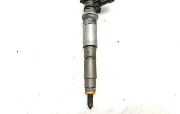 Renault Laguna III Fuel injector 0445115007 H82409398