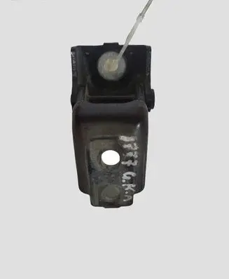 Renault Megane III Rear door lower hinge 804200003RH