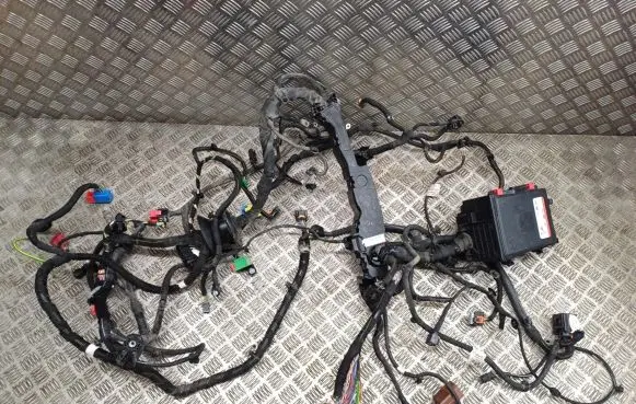 Citroen Jumpy Other wiring loom 8G24A8TS