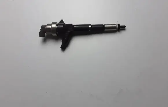 Opel Mokka Fuel injector 55567729