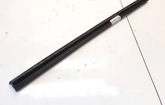 Rear door glass trim molding