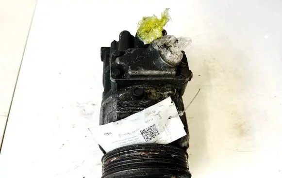 Volkswagen Golf V Air conditioning (A/C) compressor (pump) 10982305563 8675EPA